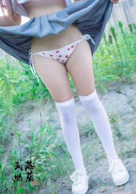 舒克贝塔第四季免费观看_1080P全集免费观看